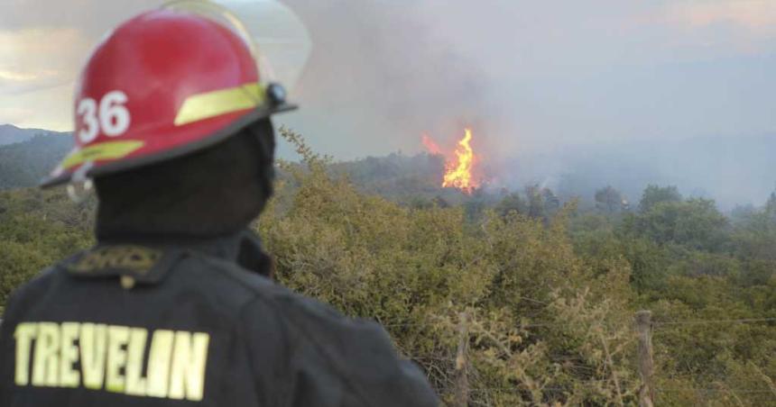 El fuego en el Parque Nacional Los Alerces ya consumioacute casi 600 hectaacutereas