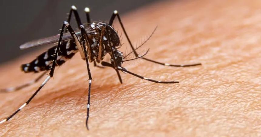 Detectan otros tres casos de dengue importado en la provincia