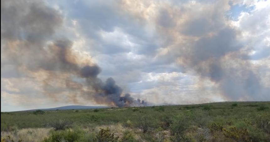 Controlaron el incendio en el Parque Nacional Lihue Calel