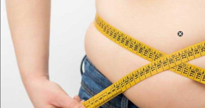 Por queacute las personas obesas queman menos grasas- la clave estaacute en las mitocondrias