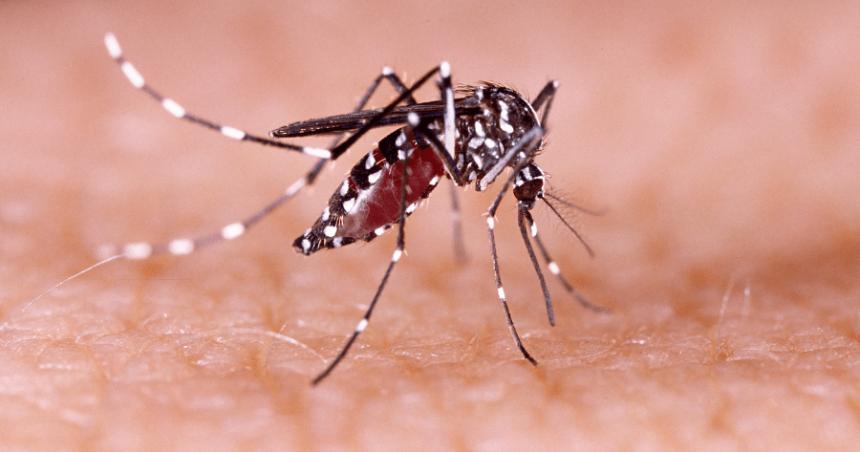 Otro caso de dengue autoacutectono