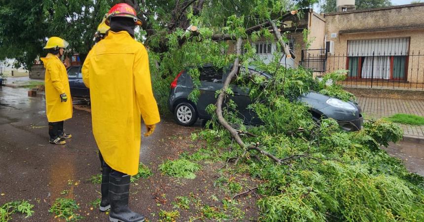 Un auto estacionado sufrioacute dantildeos por la caiacuteda de ramas