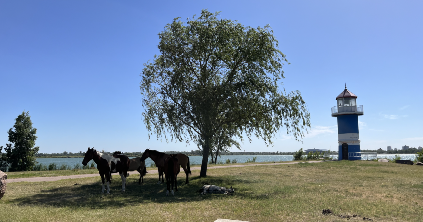 Tras la ola de calor un fin de semana con maacutexima de 26