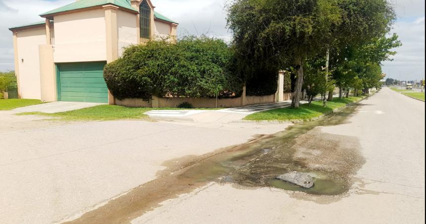 Una peacuterdida cloacal que iban a arreglar en pocos minutos pero lleva diacuteas