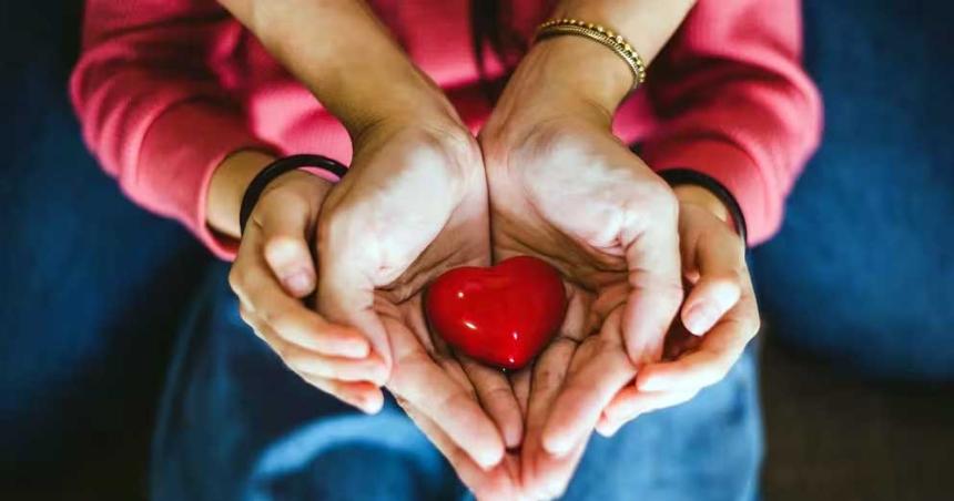 Diacutea del Trasplante de Oacuterganos- donar puede salvar hasta ocho vidas