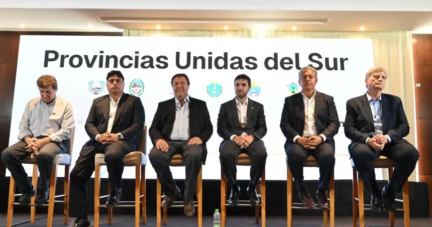 La Patagonia analiza crear su propio mercado eleacutectrico mayorista