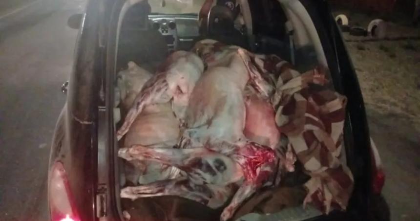 Decomisaron 2500 kilos de carne clandestina en Riacuteo Colorado