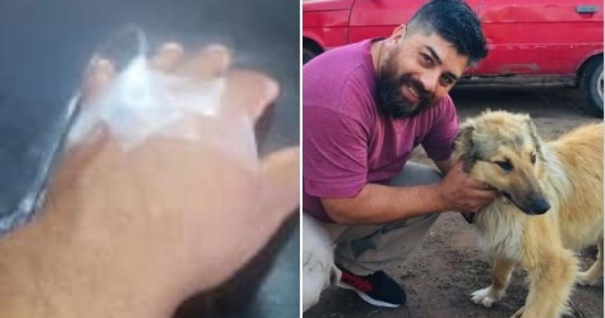 Catriloacute- un vecino fue afectado por el veneno que le dieron a su perro y terminoacute en el hospital 