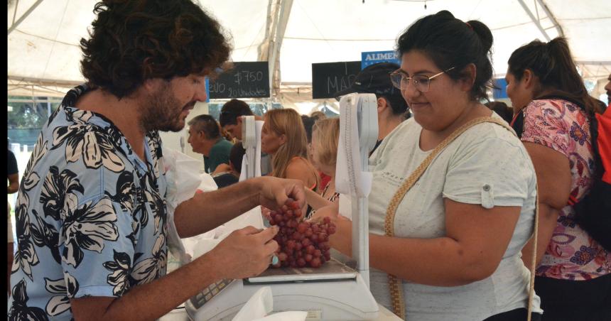 Saacutebado de ofertas del Mercado Municipal 