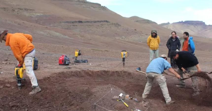 Descubrieron en la Patagonia el mamiacutefero maacutes grande que convivioacute con los dinosaurios