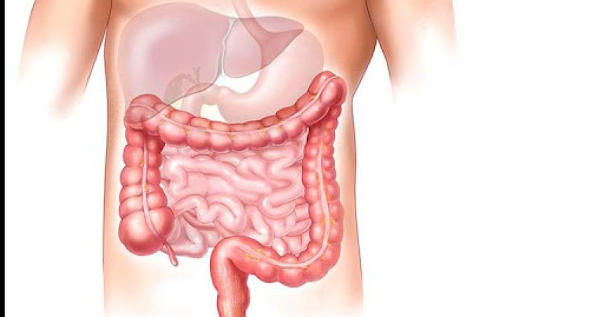 Caacutencer Colorrectal- Salud advierte sobre la importancia de reforzar los controles