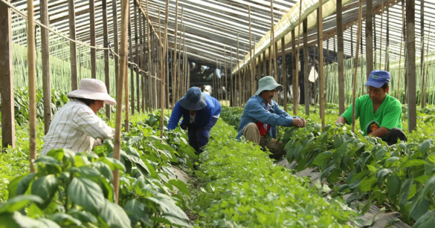 Es oficial la intervencioacuten al Instituto Nacional de la Agricultura Familiar Campesina e Indiacutegena