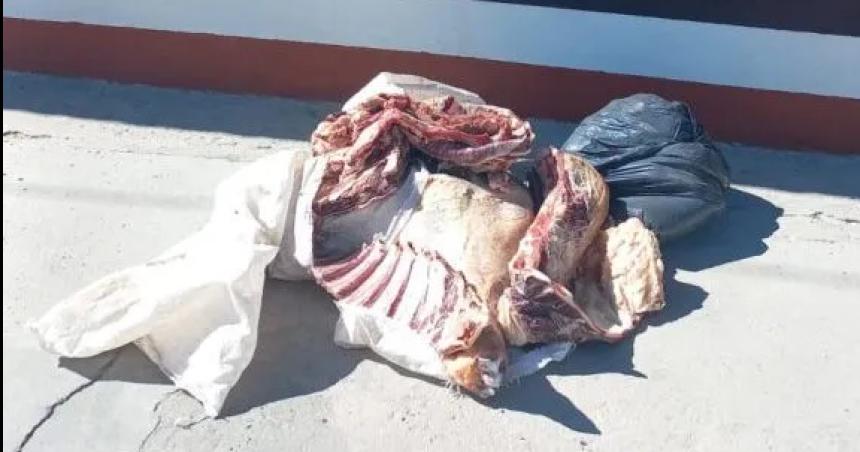 Secuestran maacutes carne clandestina llevada de La Pampa a Riacuteo Negro