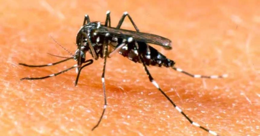 Los casos de dengue saltaron a 219 en la provincia