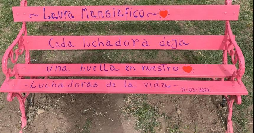 Robaron un Banco Rosa a Luchadoras de la Vida