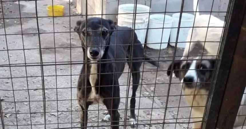 Apani cruzoacute al PRO- Son los uacutenicos que no colaboran