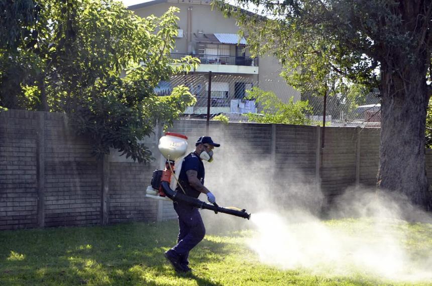 La Pampa ya tiene 300 casos de dengue
