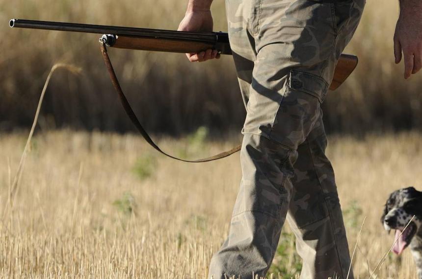 Condenan a un cazador por un disparo accidental a un joven de 16 antildeos en una caceriacutea