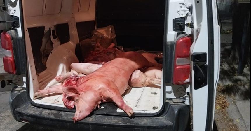 Secuestraron carne de cerdo sin refrigeracioacuten que iba a un supermercado de General Acha 