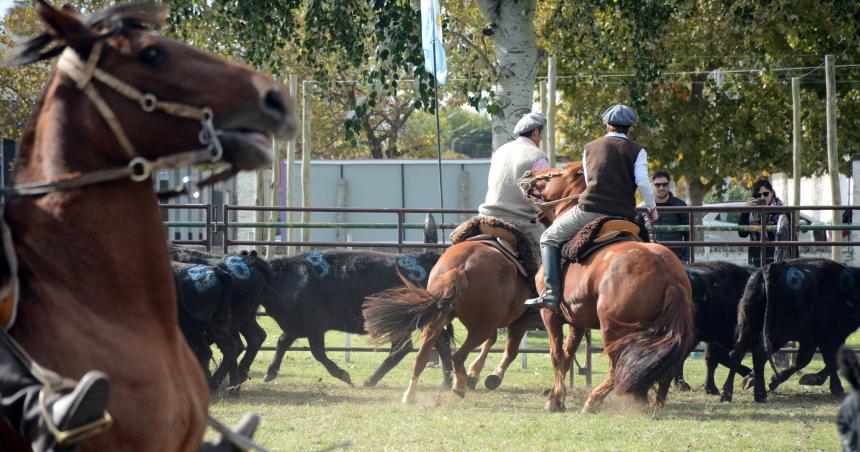 Cierra la tercera edicioacuten de la Expo Criollos con varias actividades