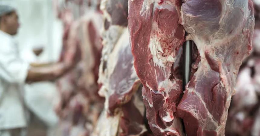 La industria frigoriacutefica reclama un doacutelar maacutes competitivo