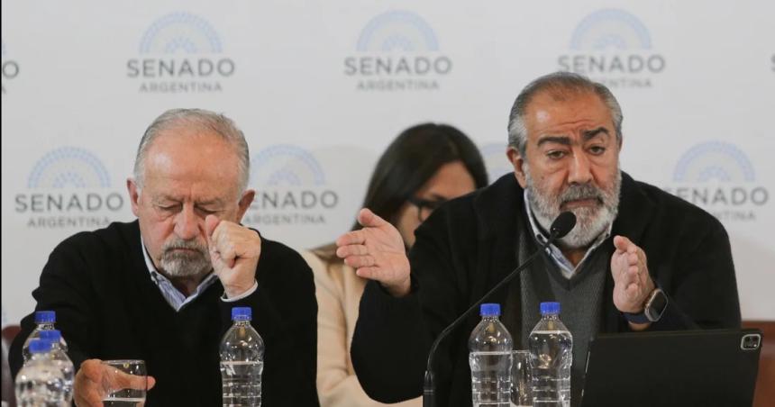 El Senado retomoacute el tratamiento en comisioacuten de la ley de Bases con decenas de expositores