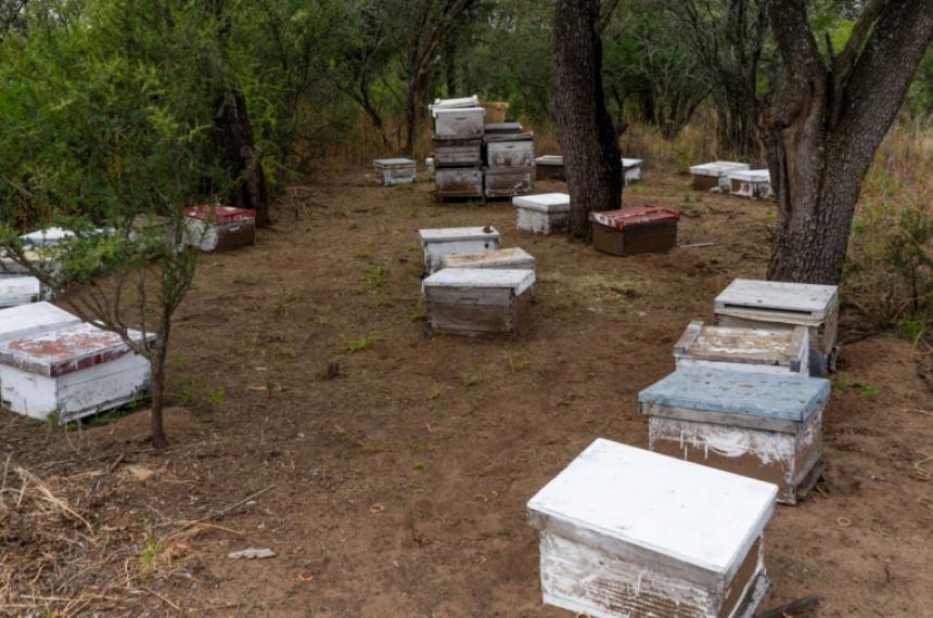 Recomiendan el consumo de la miel que se produce en La Pampa
