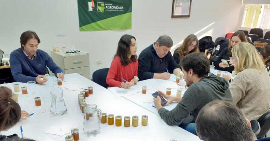 Trabajo interinstitucional para la caracterizacioacuten de la miel pampeana