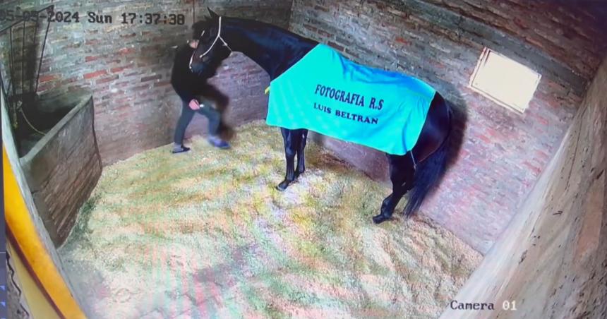 Asiacute habriacutea envenenado su cuidador a Festiacuten Texano