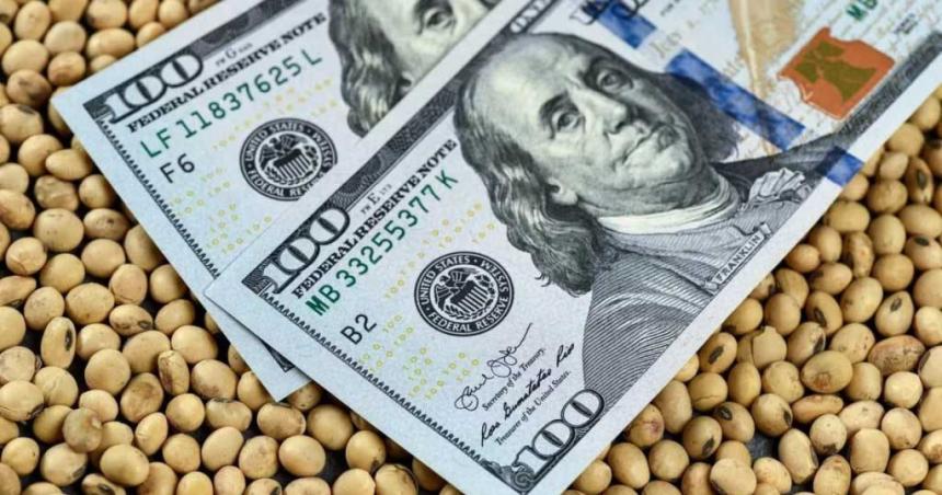 Se retrasa el ingreso de divisas por la soja- hasta ahora solo se vendioacute el 34-en-porciento- de la produccioacuten