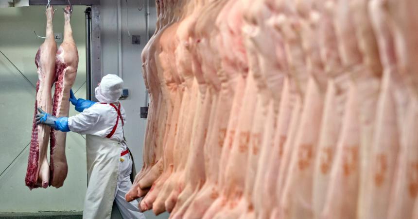 Impacto del RIGI- la industria pampeana en peligro