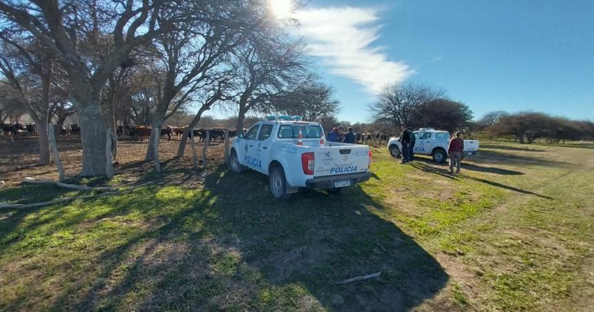 Abigeato en Departamento Toay- recuperan 10 animales 