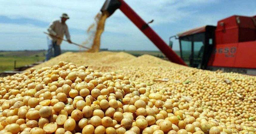 El avance de la cosecha de soja mejora la recaudacioacuten por retenciones