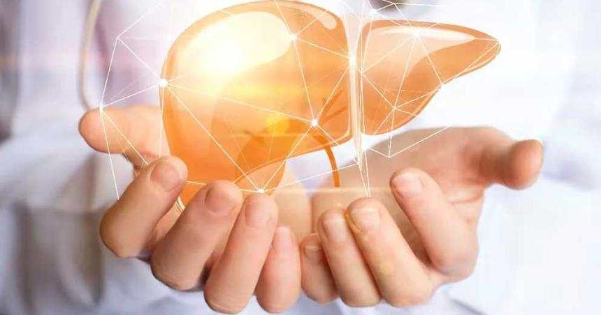 Un medicamento experimental con GLP-1 un gran avance contra el hiacutegado graso