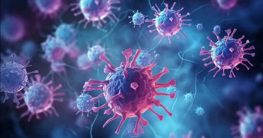 Una investigacioacuten asegura que cada ceacutelula de nuestro cuerpo podriacutea ser consciente
