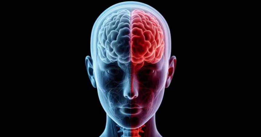 Por queacute la estimulacioacuten cerebral podriacutea ser eficaz para aliviar el dolor emocional
