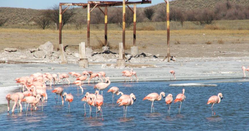 La Pampa- fin de semana largo con movimiento turiacutestico moderado