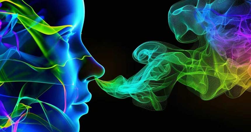 Por queacute algunos olores se perciben como nauseabundos y otros como agradables