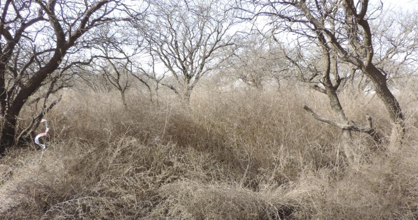 Conservar lo que es nuestro- Reservas Naturales Urbanas Espacios urbanos donde la naturaleza nos conecta y protege