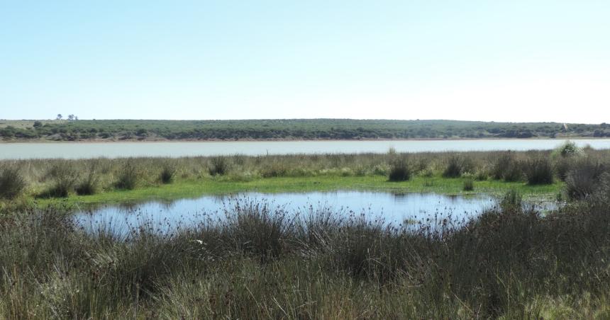 Conservar lo que es nuestro- Reservas Naturales Urbanas Espacios urbanos donde la naturaleza nos conecta y protege