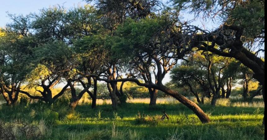 Conservar lo que es nuestro- Reservas Naturales Urbanas Espacios urbanos donde la naturaleza nos conecta y protege