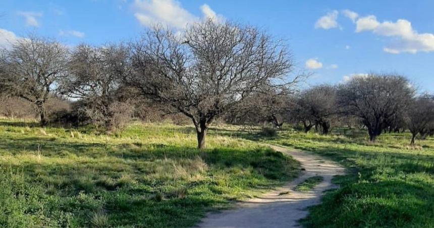 Conservar lo que es nuestro- Reservas Naturales Urbanas Espacios urbanos donde la naturaleza nos conecta y protege