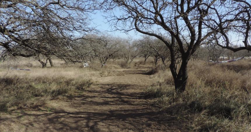 Conservar lo que es nuestro- Reservas Naturales Urbanas Espacios urbanos donde la naturaleza nos conecta y protege
