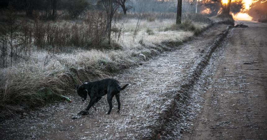Pronostican tres diacuteas seguidos de temperaturas bajo cero