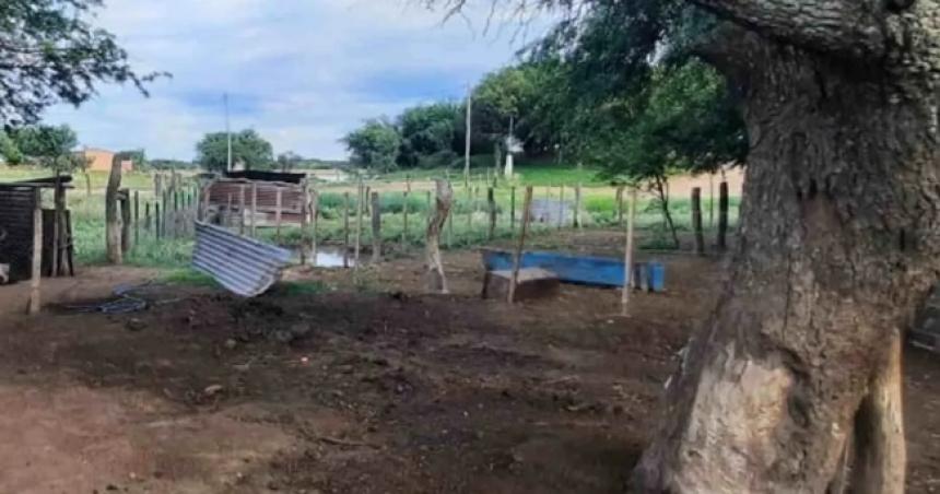 Le carneoacute una oveja y tuvo que pagar por el dantildeo