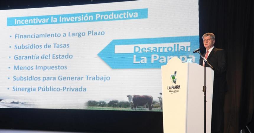 El RIGI es un sistema de incentivos dantildeino para la economiacutea pampeana