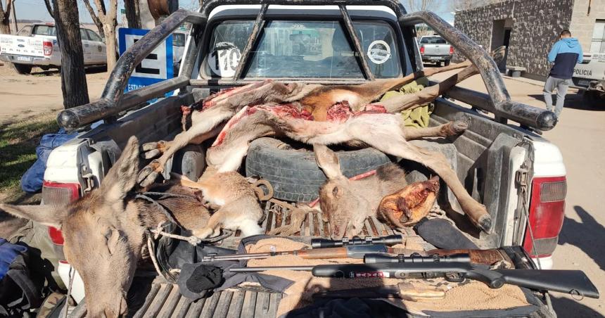 Secuestraron carne armas y ejemplares de ciervo en varios operativos