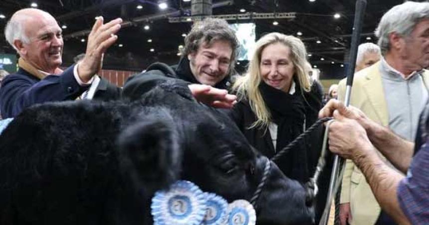 Milei regresa esta noche al paiacutes y se prepara para participar en la exposicioacuten de La Rural