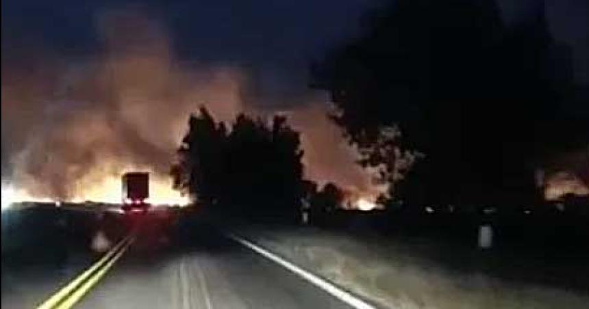 Incendio en Corrientes- los brigadistas intentan impedir la expansioacuten del fuego