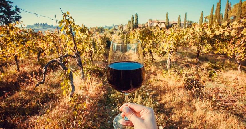 En lo que va de del antildeo los argentinos consumieron 16 millones de litros de vino menos que en 2023
